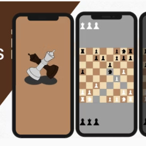 Chess game application