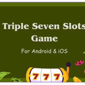 777 Slots King Game