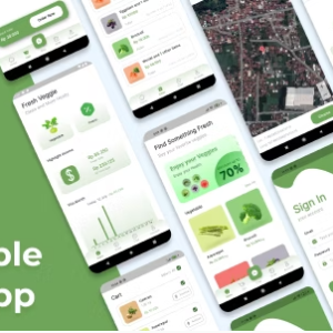 Vegetable Shop App - Flutter Firebase